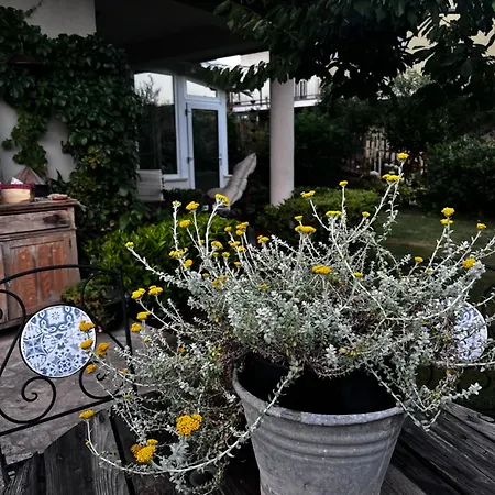 Apartamento Il Giardino Di Chiara 1 Rifugio Per Anime Stanche Serrastretta