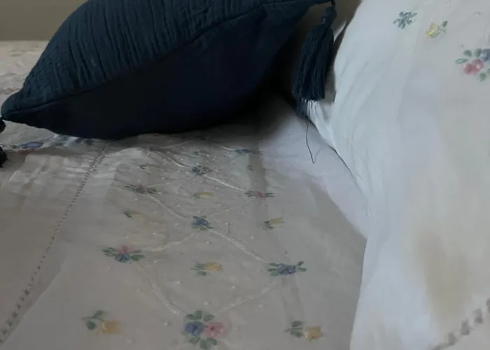 Il Giardino Di Chiara 1 Rifugio Per Anime Stanche *