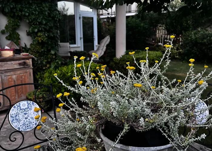 公寓 Il Giardino Di Chiara 1 Rifugio Per Anime Stanche Serrastretta